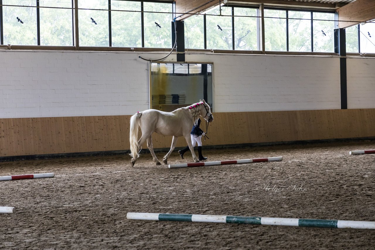 Bild 90 - Pony Akademie Turnier